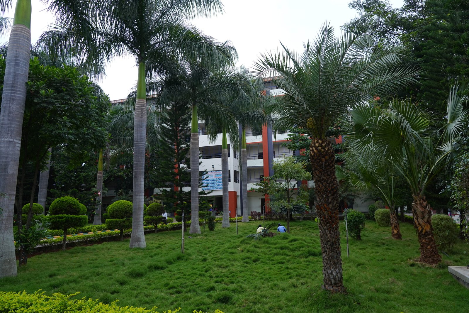 DSC08525
